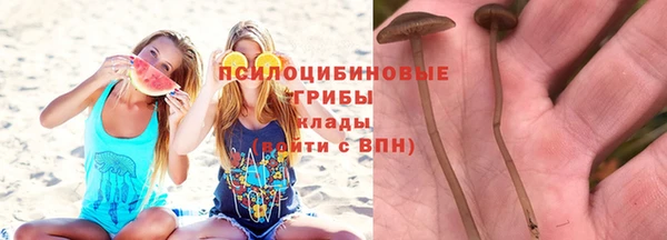 ешки Арсеньев