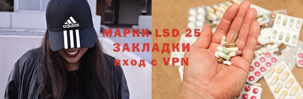 ПСИЛОЦИБИНОВЫЕ ГРИБЫ Балахна