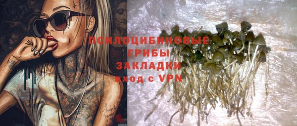 ПСИЛОЦИБИНОВЫЕ ГРИБЫ Балахна