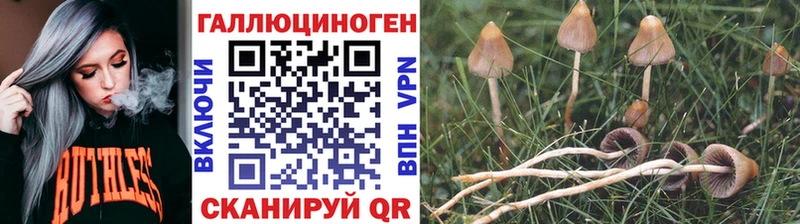 Галлюциногенные грибы Psilocybine cubensis  Тюкалинск 